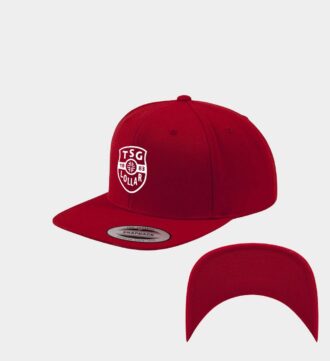 TSG Lollar Snapback