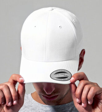 Classic Curved 6-Panel Snapback